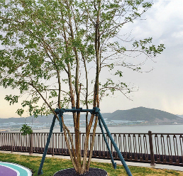 园林景观-护栏